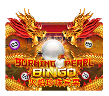 PGSLOT สล็อต SLOTXO สล็อตแตกง่าย